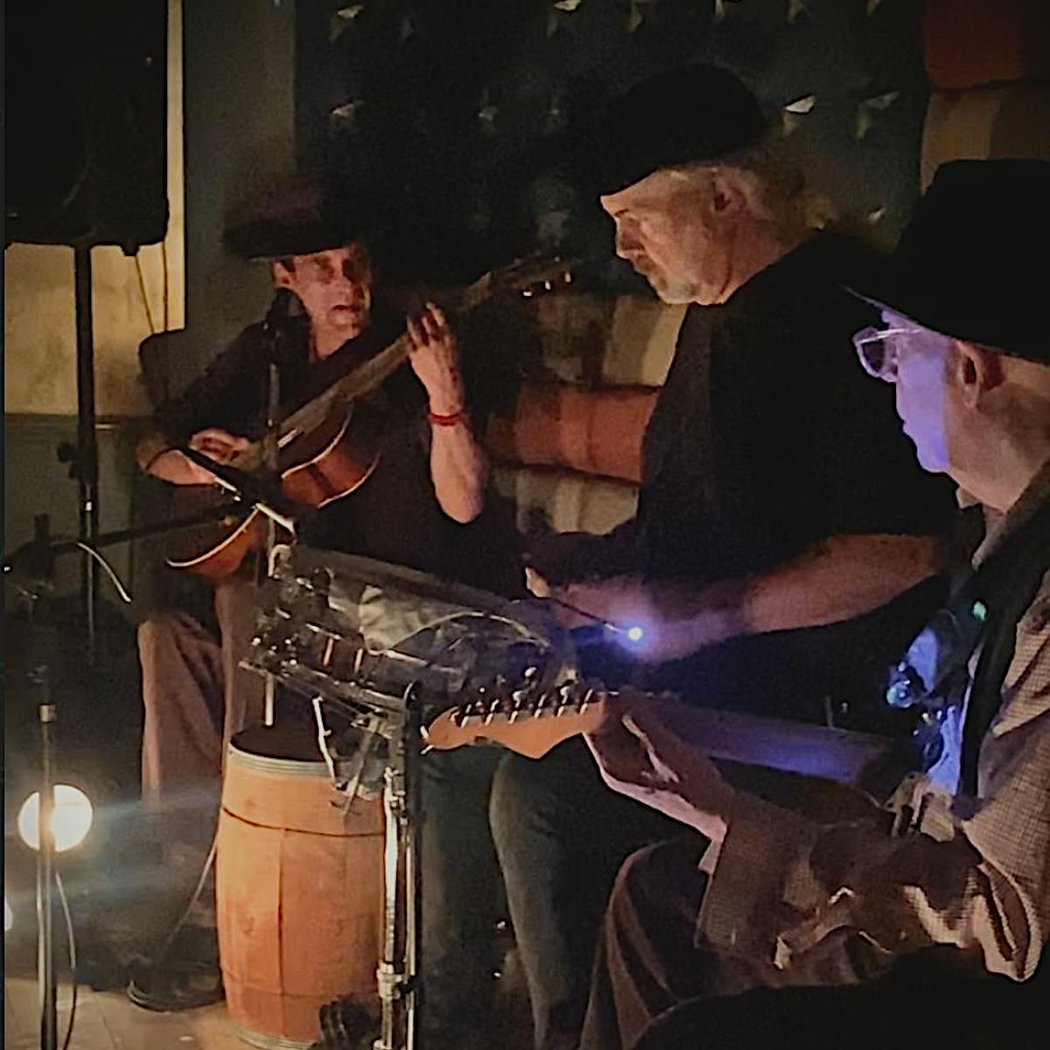 New Moon Acoustic Blues Trio 2