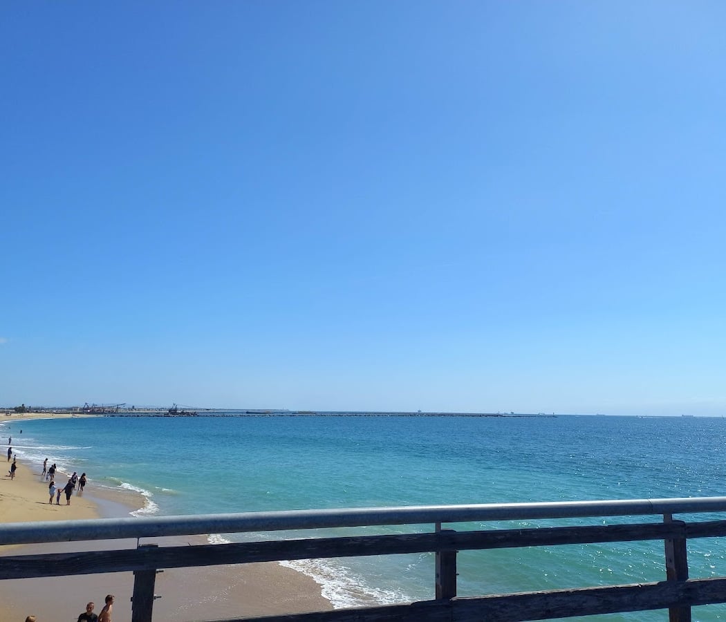Seal Beach Cleanup 2