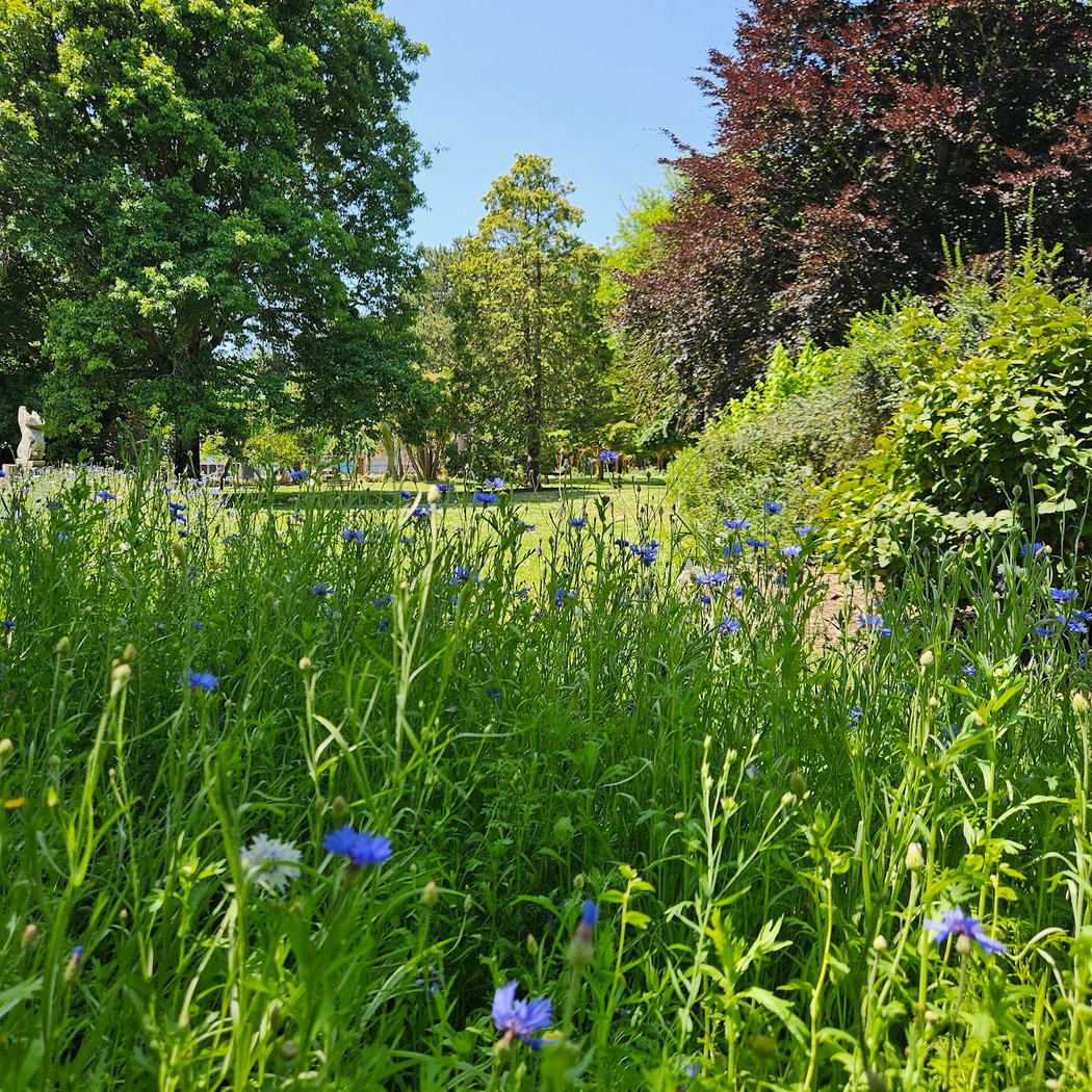 Botanical Garden 1