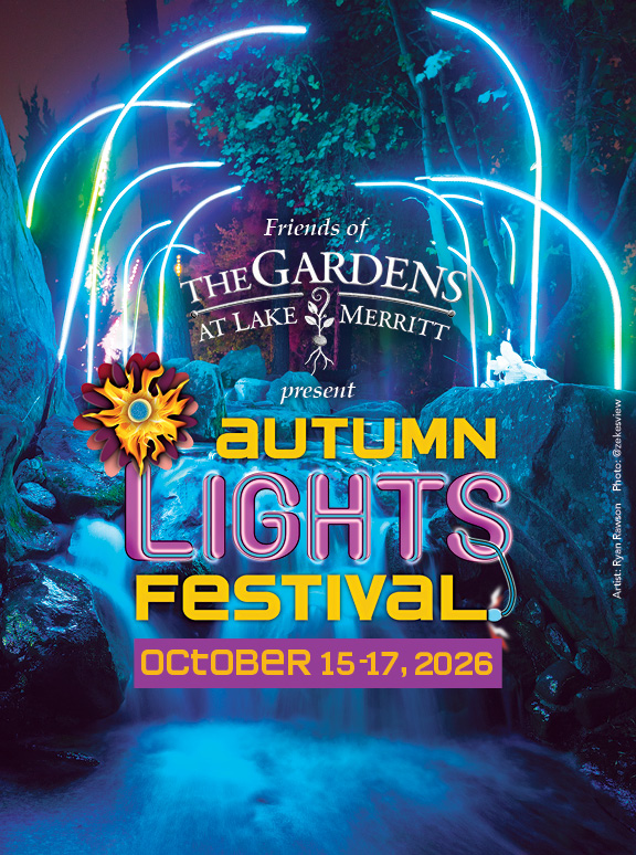 Autumn Lights Festival 1