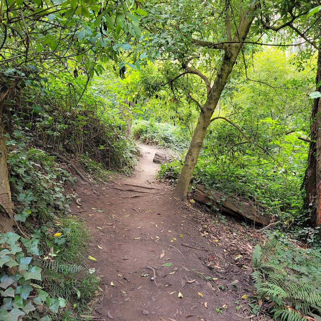 Fairy Gates Trailhead 2