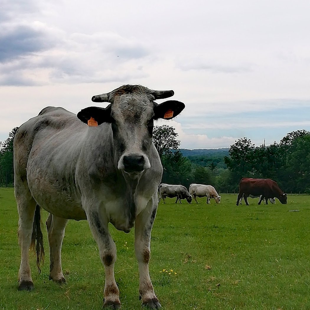 Plateau d'Hauteville 3