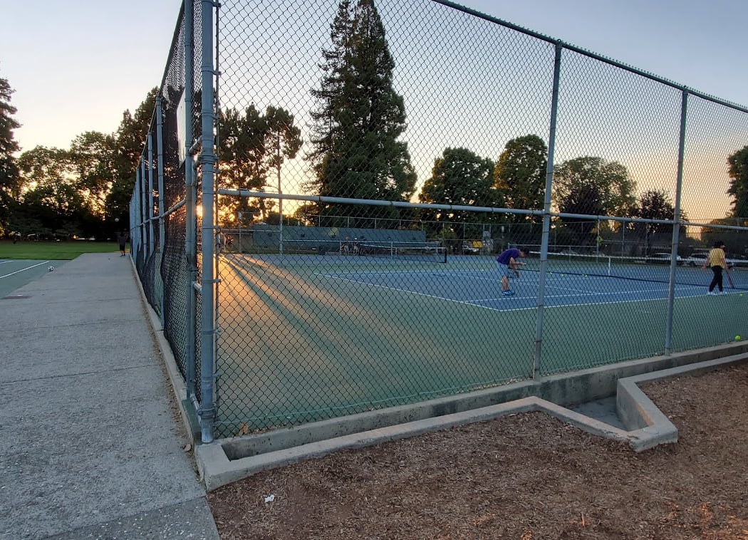Orchard Gardens Park - Tennis Courts 1