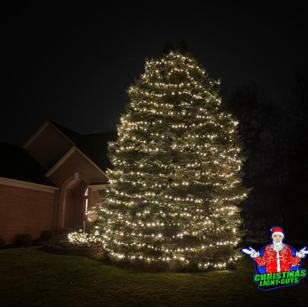 Christmas Light Guys 3