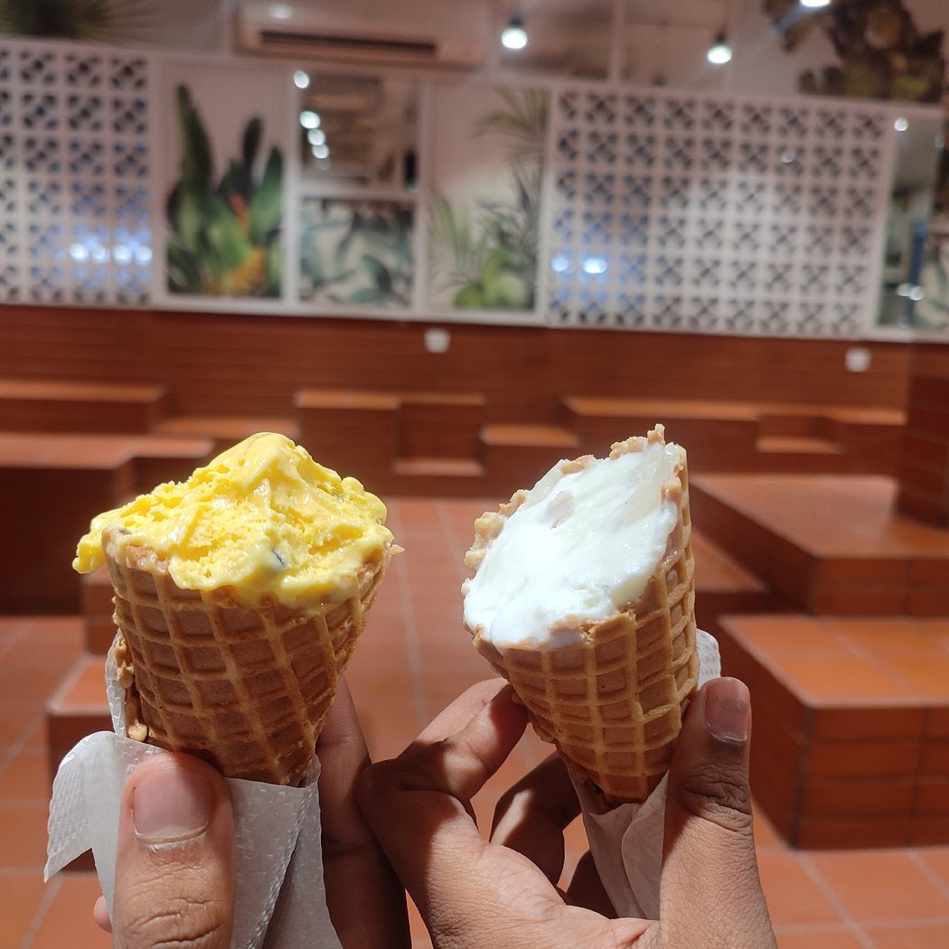 Naturals Ice Cream 1