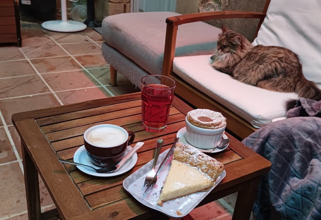 Le Comptoir Des Chats (enfants à partir de 10 ans) 1