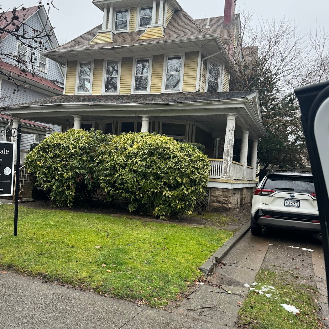Ditmas Park 3