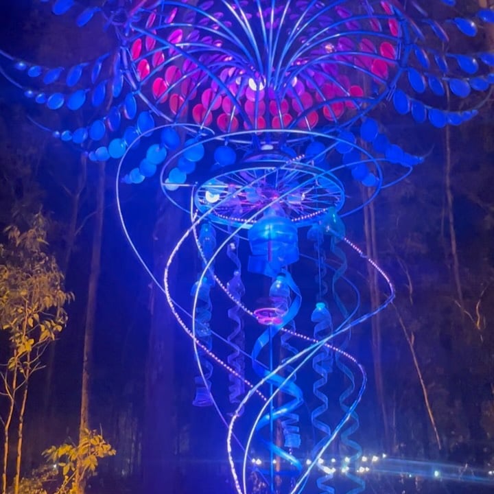 Echoes of Earth Festival 1