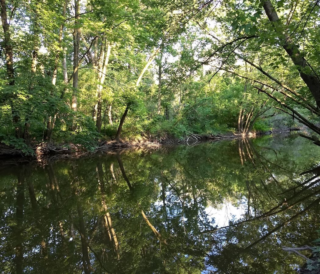 LaBagh Woods Stewardship Workday 2