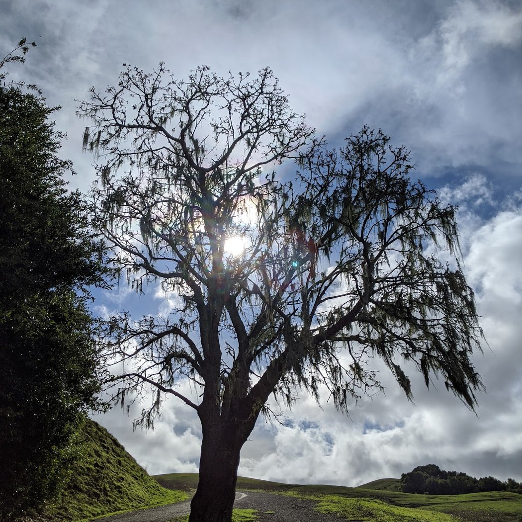 Timberhill Park 2