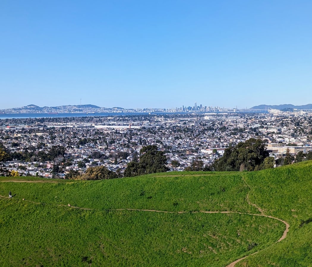 King Estate Open Space Park 2