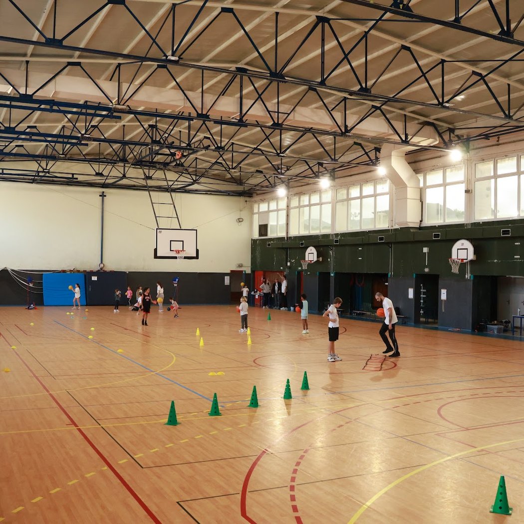 ISA Basket 2