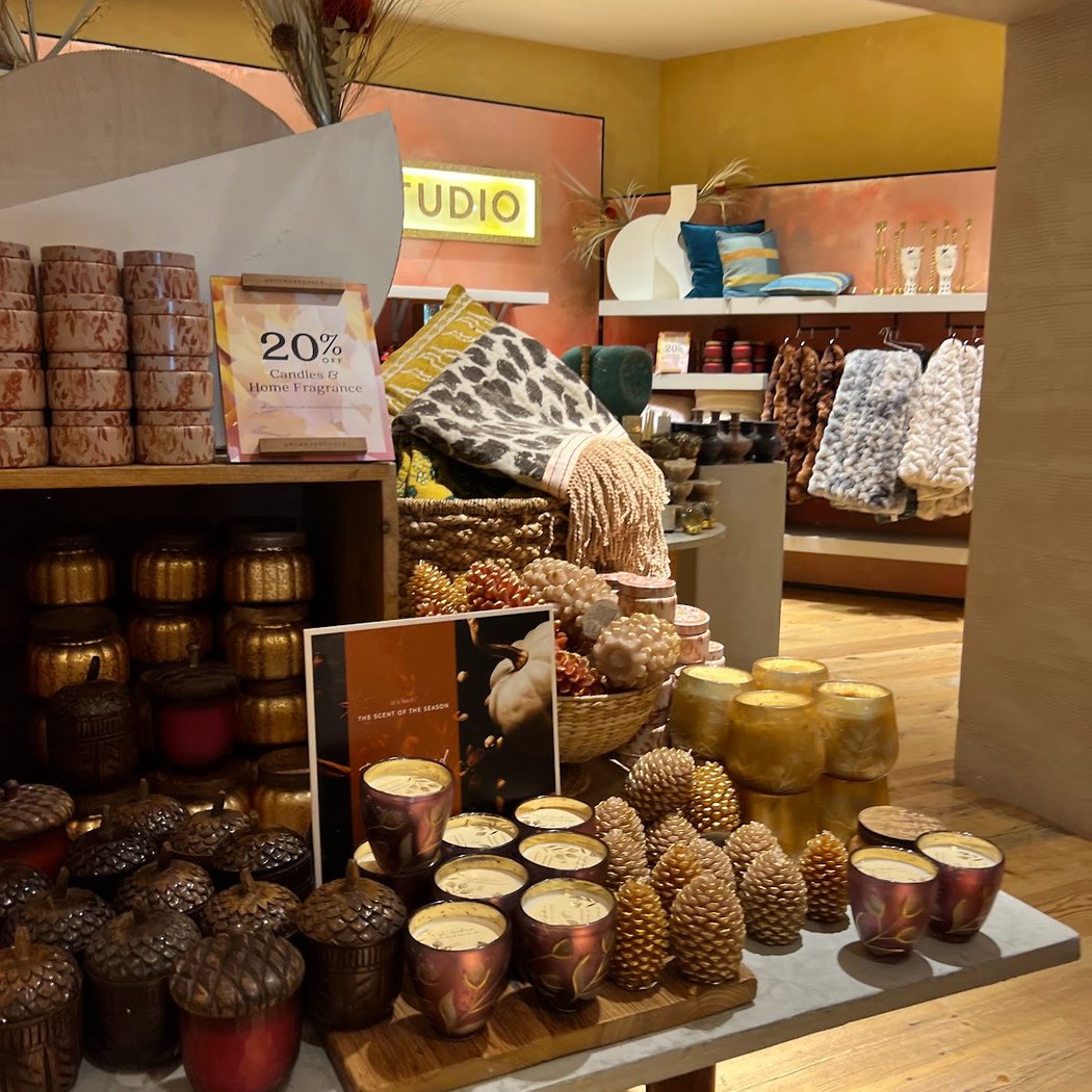 Anthropologie 1