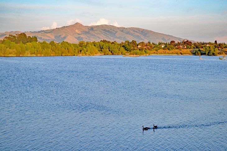 Quarry Lakes Regional Recreation Area 2