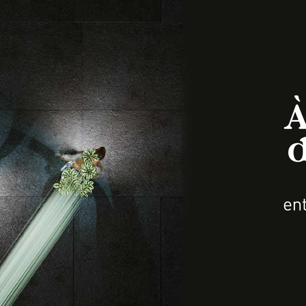 Exposition A l’écoute du vivant – Biomimétisme en arts et sciences 1