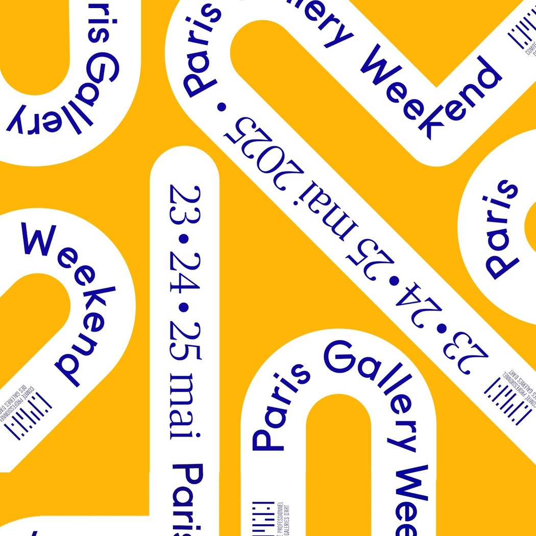 Paris Gallery Weekend 1