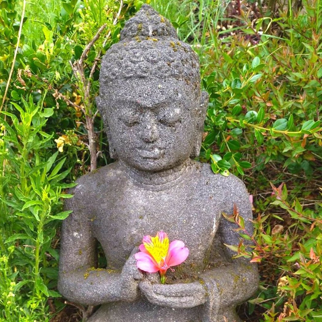 Les Chemins d'Ambre & Thaïs 2