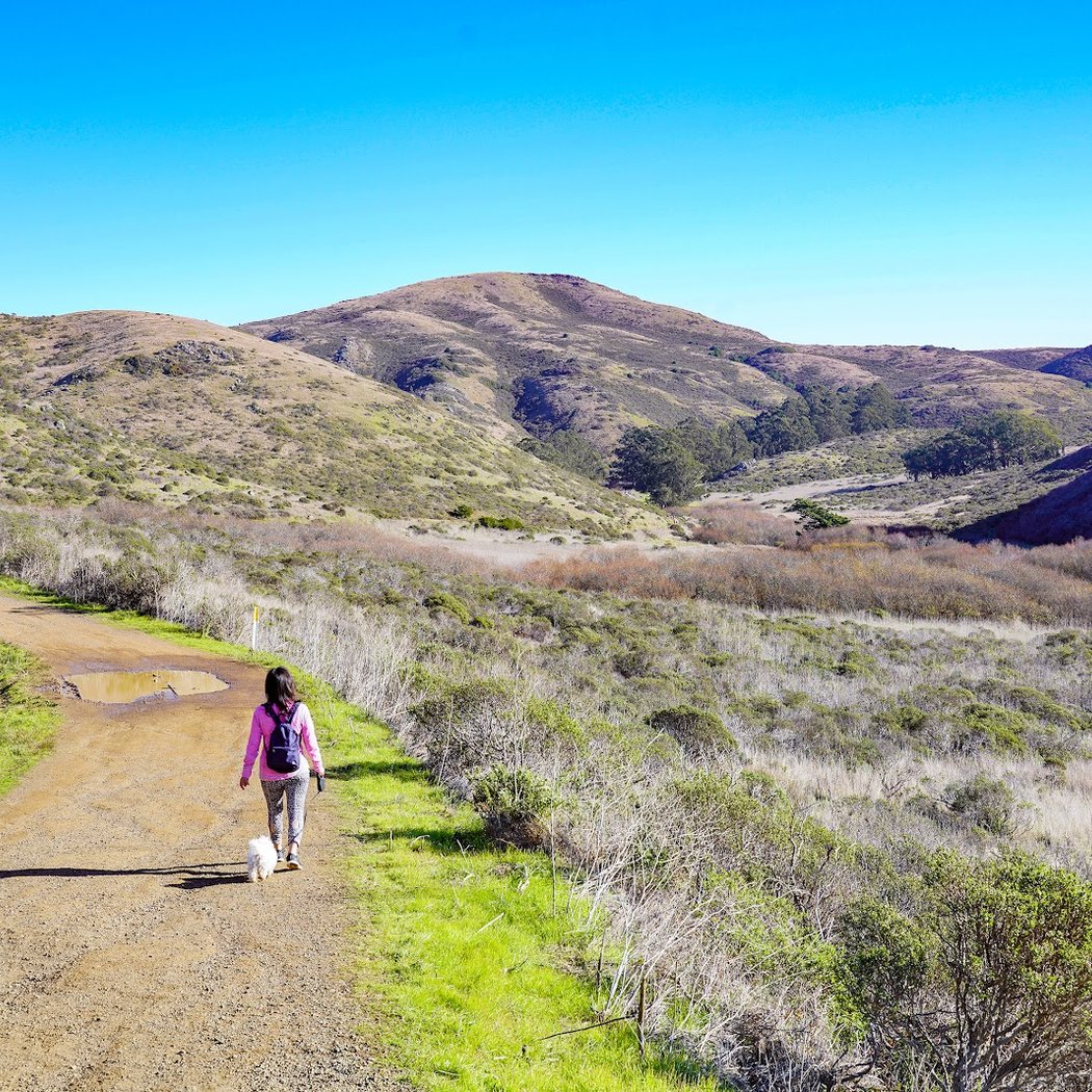 Sunset & Full Moon Hike: Mountain Lions