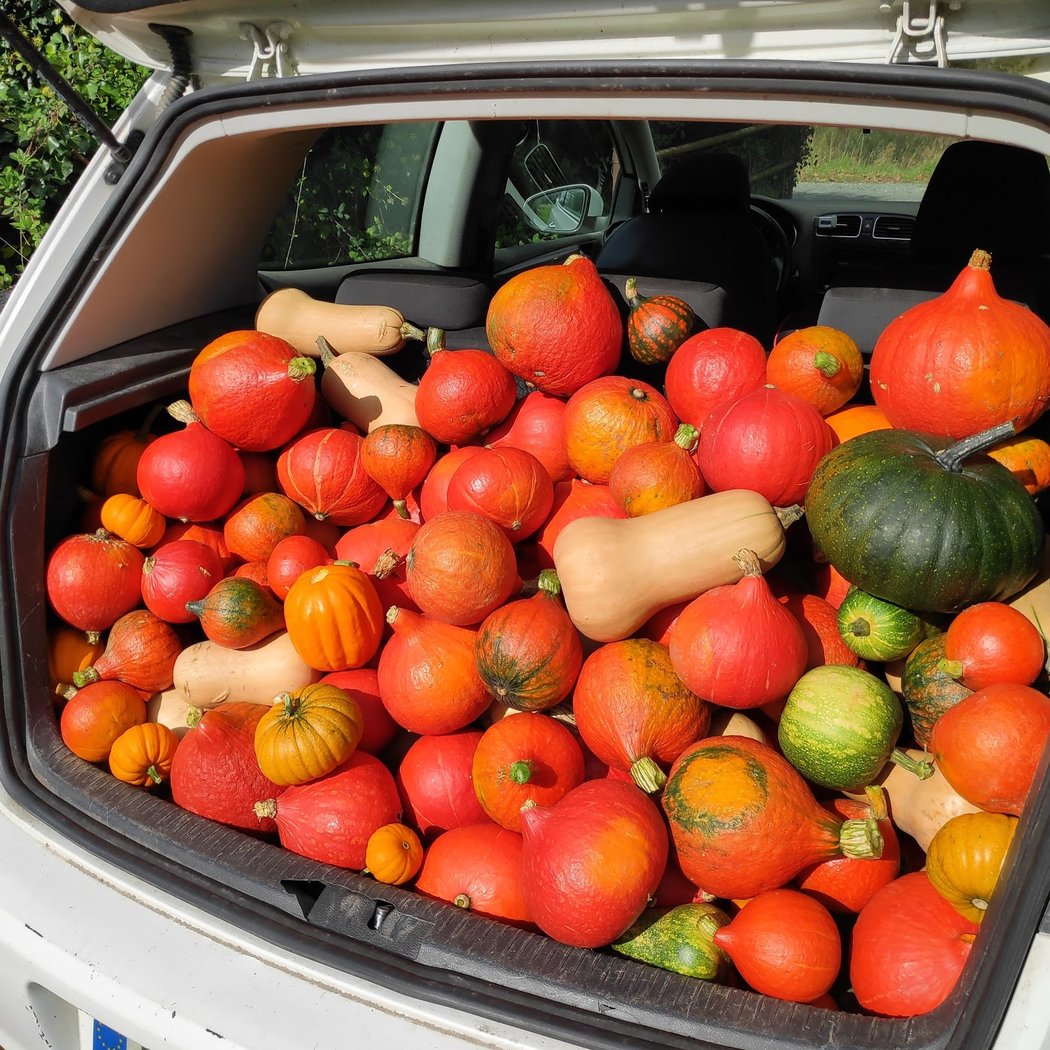 Légumes de la Fernière 1