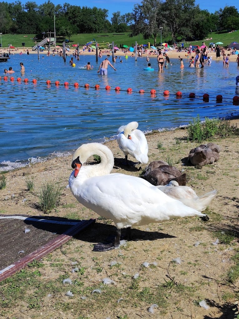 Island Recreation Vaires - Torcy 2