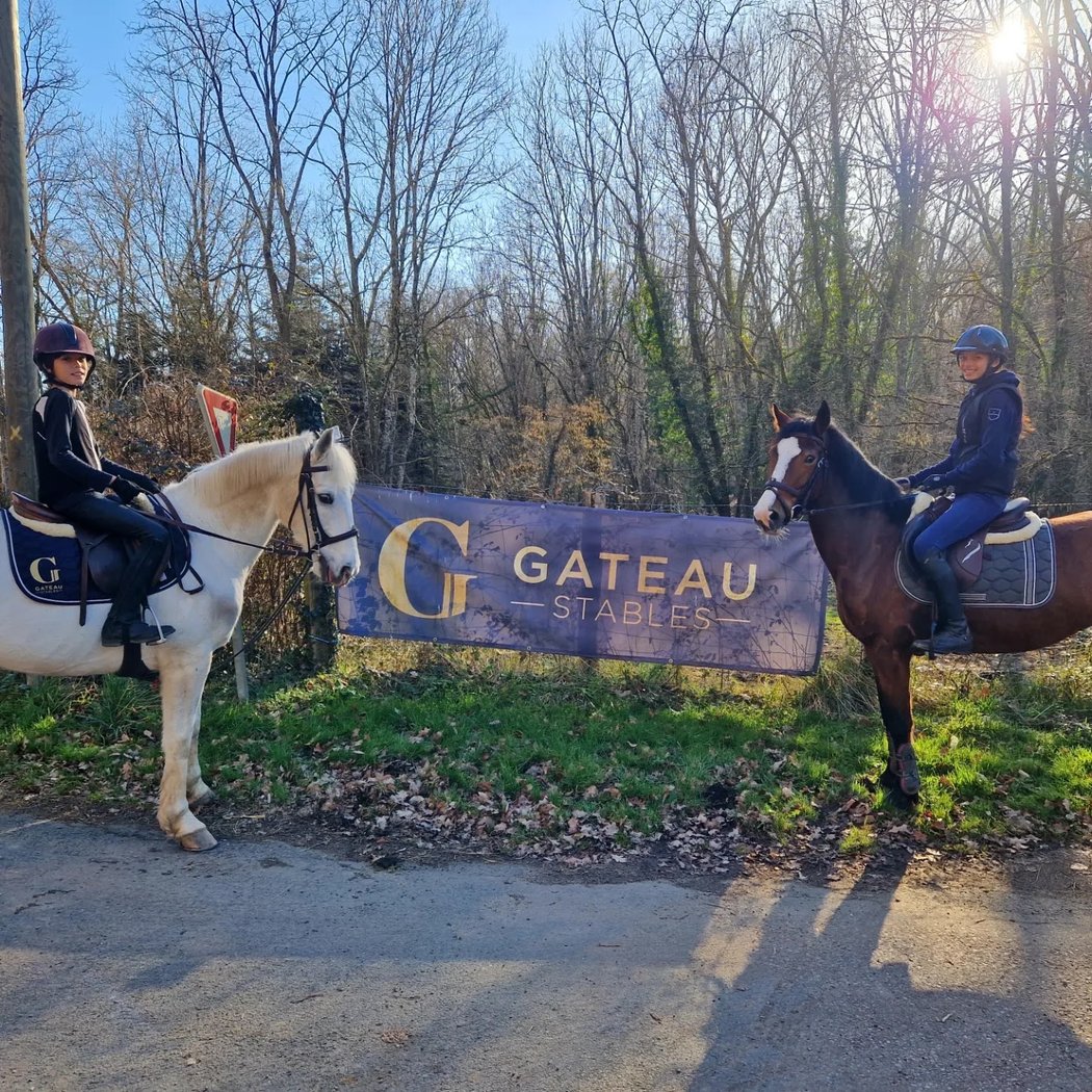 Ferme Equestre et chambres d'hôtes Gateau Stables près Guédelon 5