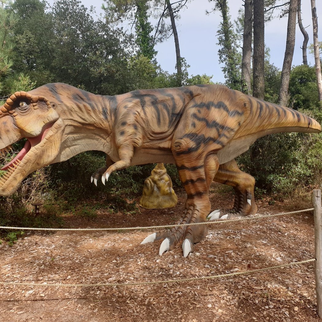 Dino's Park SARL 3