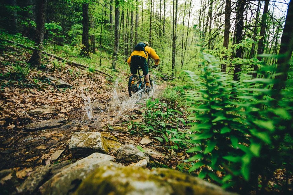 The Bike Farm 3