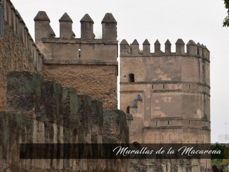 Macarena Walls 2