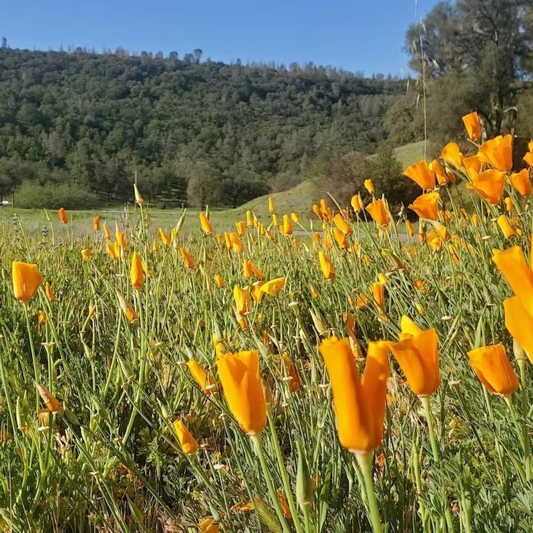 Six Sigma Ranch Earth Month Guided Hike 1