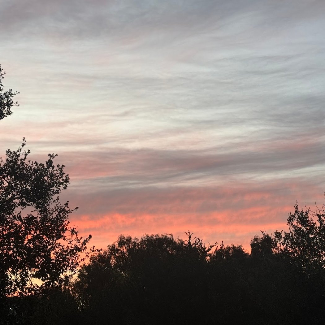 Los Gatos Trail 3