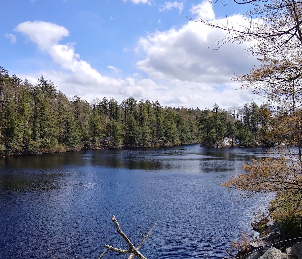 Pelton Pond 1