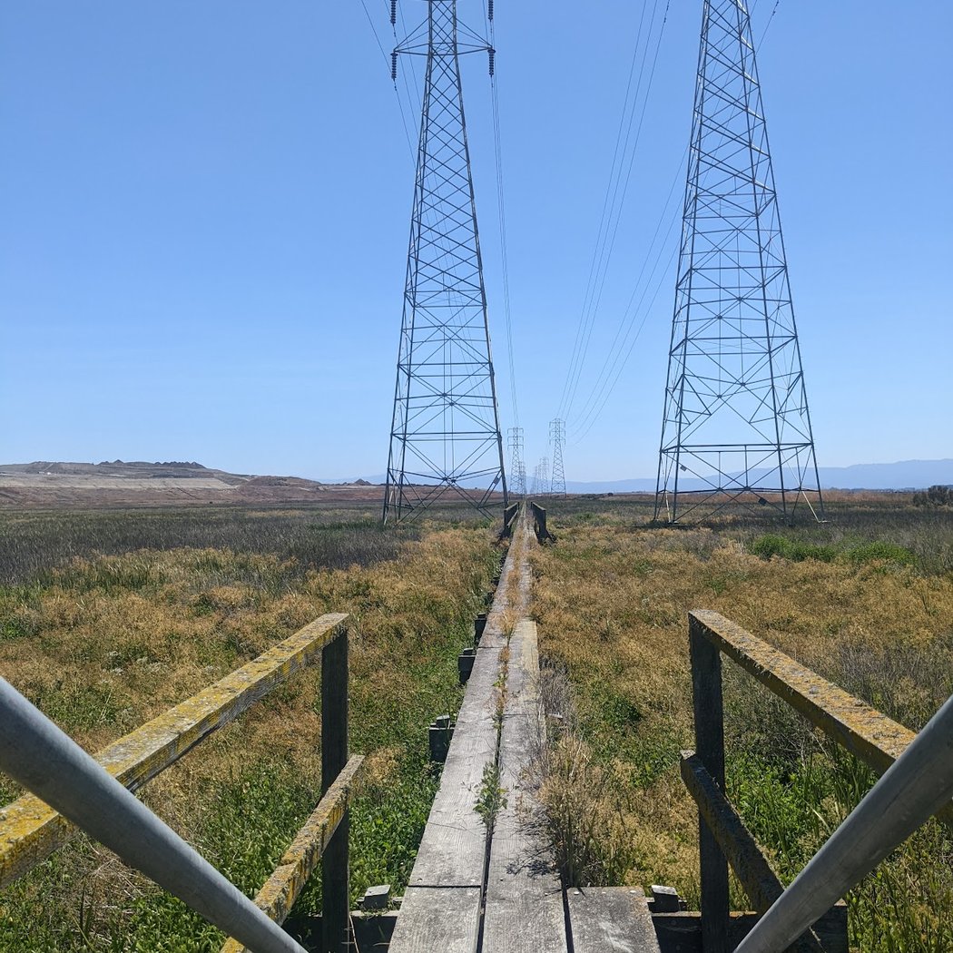 Coyote Creek Lagoon Trl 3
