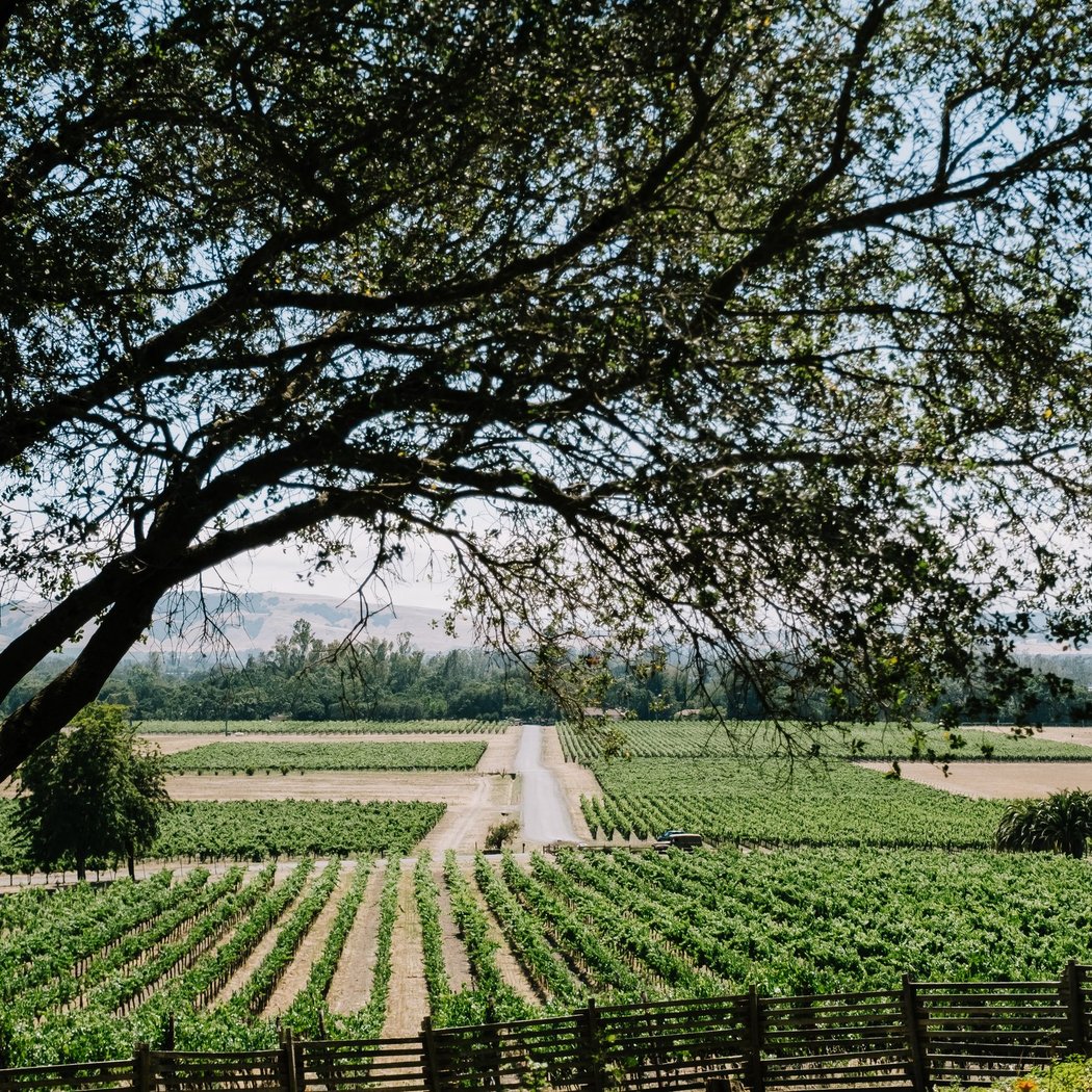 Gundlach Bundschu Winery 3