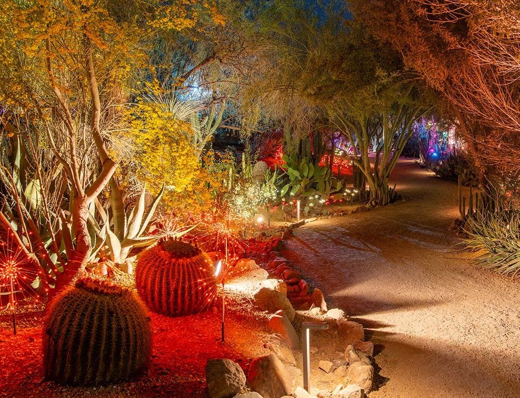 Fall Garden After Dark