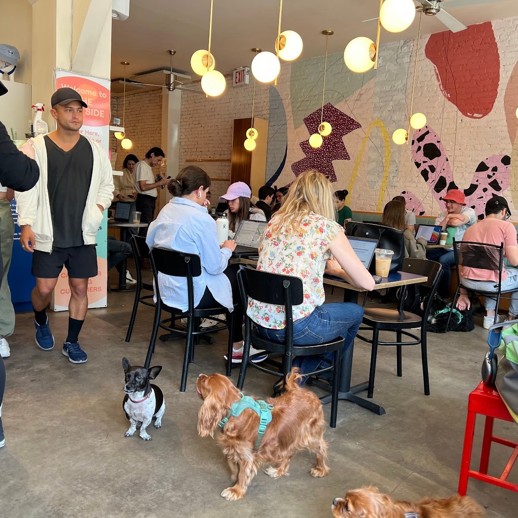 Dog-Friendly Trivia