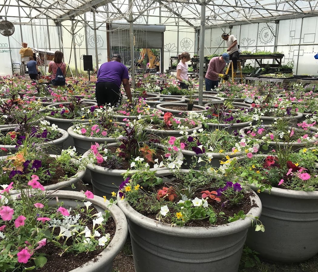 KNOX Farmers Market 2