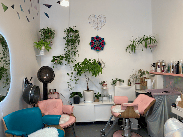 Heartzilla Salon 2