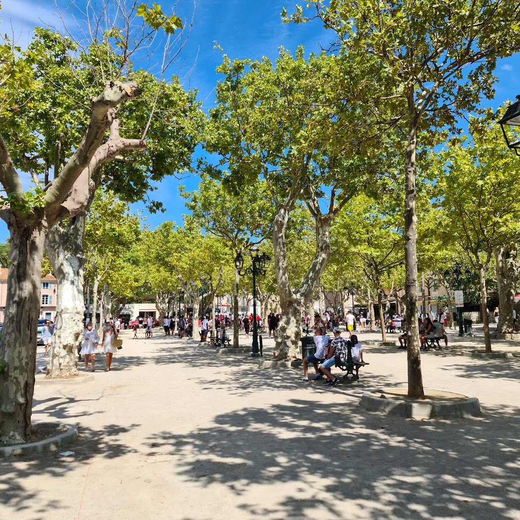 Place des Lices 2