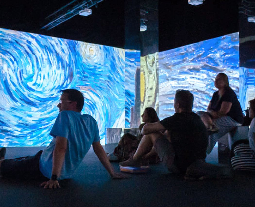 Impressionists Immersive Exhibition 4