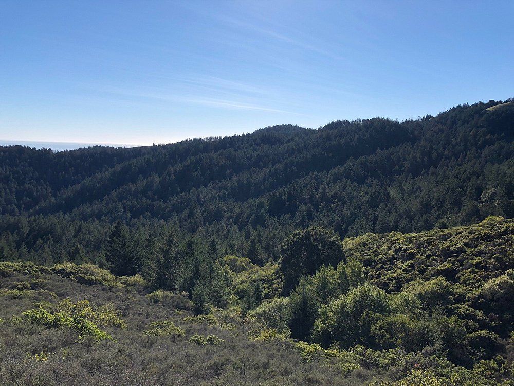 Mt Tamalpais 2