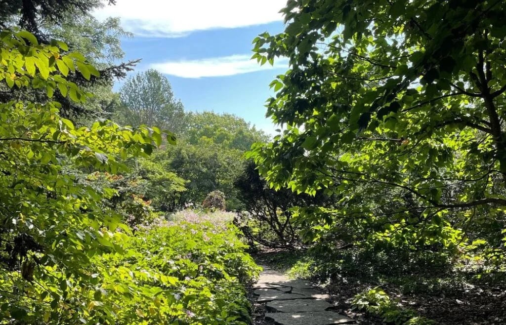 Chadwick Arboretum 2