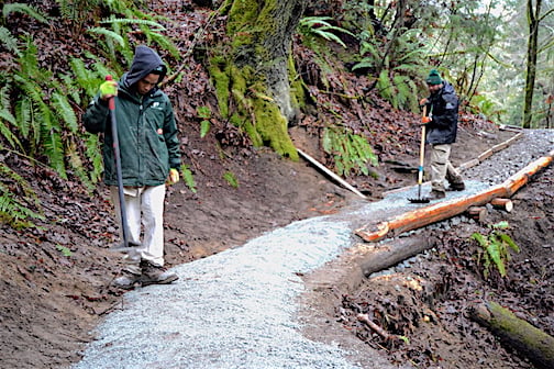 Trail Repair Work Party at Schmitz Preserve Park 1