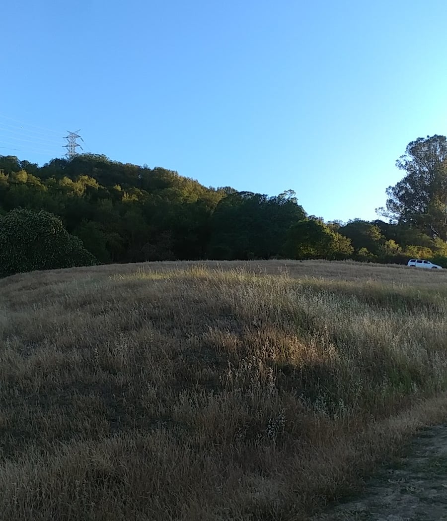 Orchard Trail 2