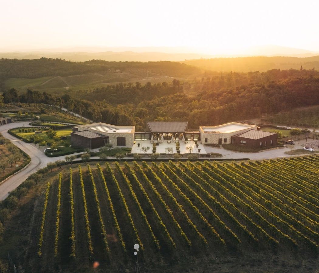 Vendemmia 2