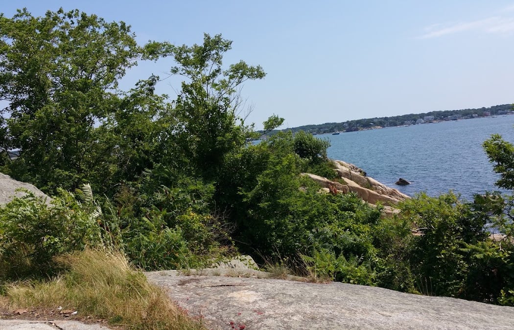 The Cultural Center at Rocky Neck 5