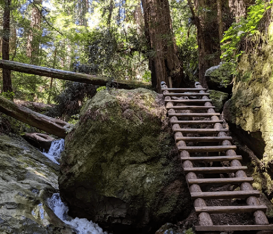 Steep Ravine Trail and Dipsea Trail Junction 3
