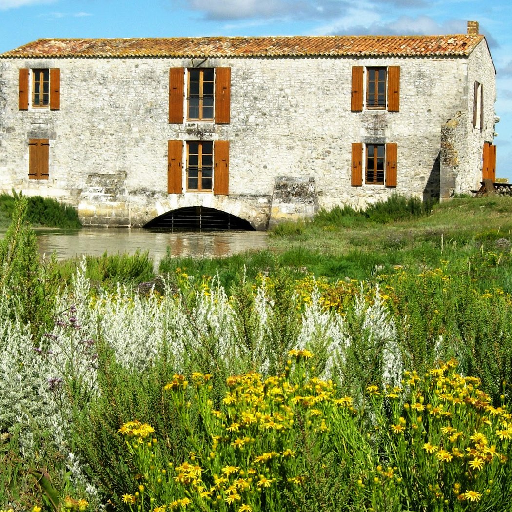 Moulin des Loges 2