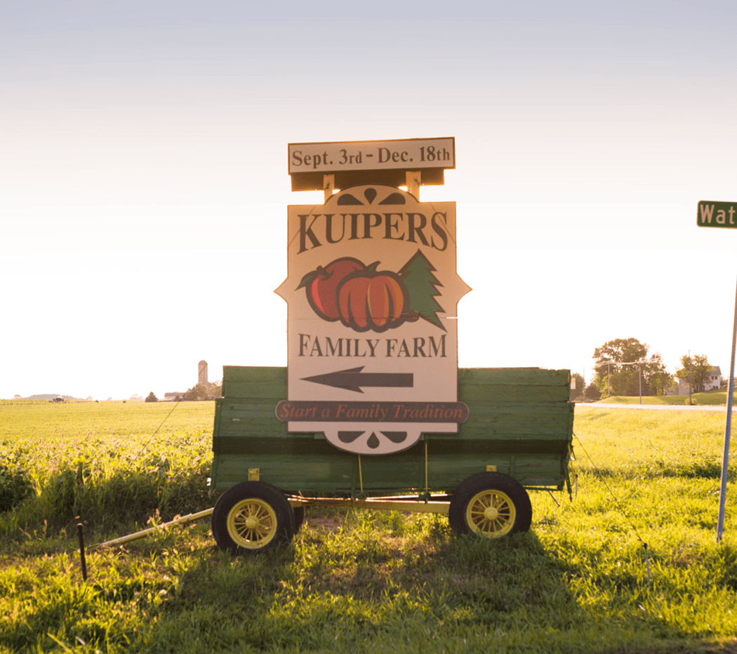 Fall Harvest Fest 3
