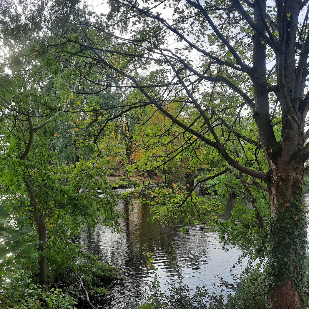 Promenade de la Dhuis 5