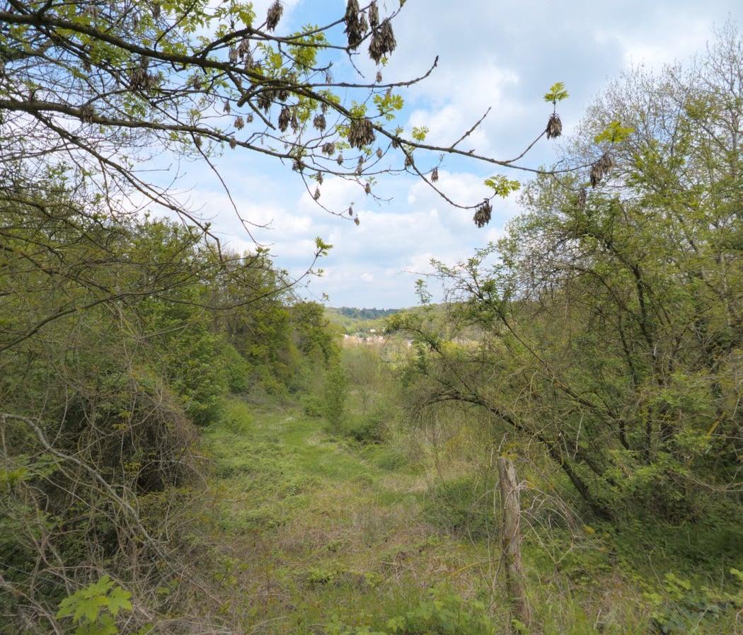 Plateau de Saclay 3